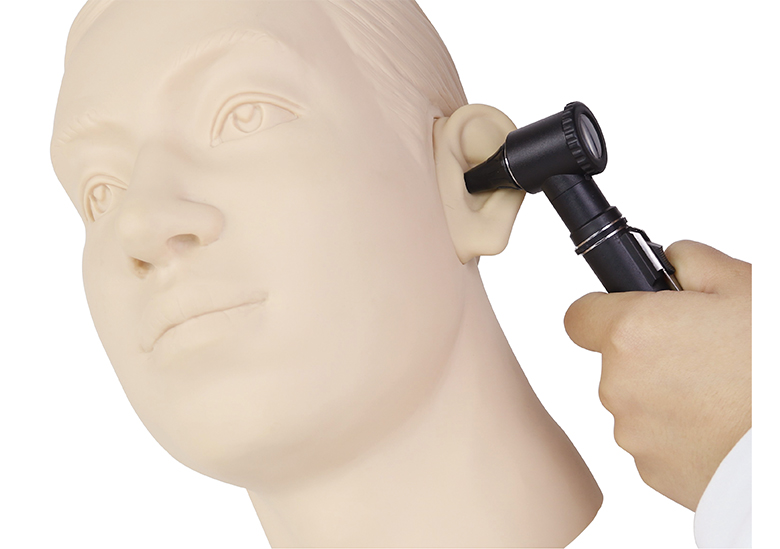 耳內檢查模型（雙側）