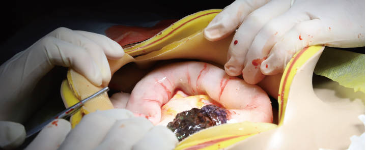 模擬手術(shù)綜合訓練系統