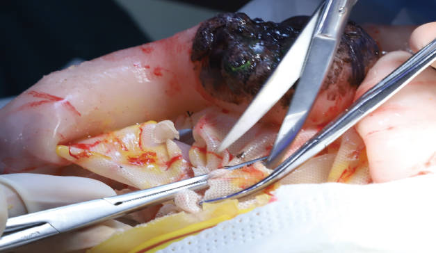 模擬手術(shù)綜合訓練系統